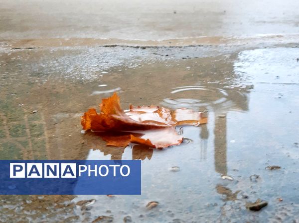 لردگان زیر باران، طراوت زمستانی در دل کوهستان