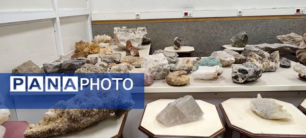 برگزاری اردوی علمی دانش‌آموزان مدرسه سعادت در دانشگاه هرمزگان