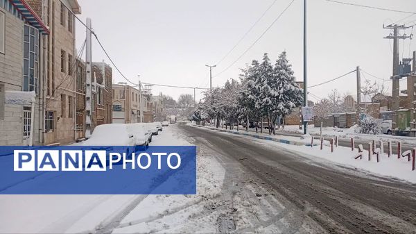 شازند سفیدپوش شد