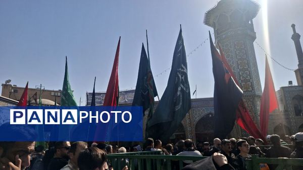 روایت اشک و ارادت عاشقان در سوگ وفات حضرت معصومه(س)