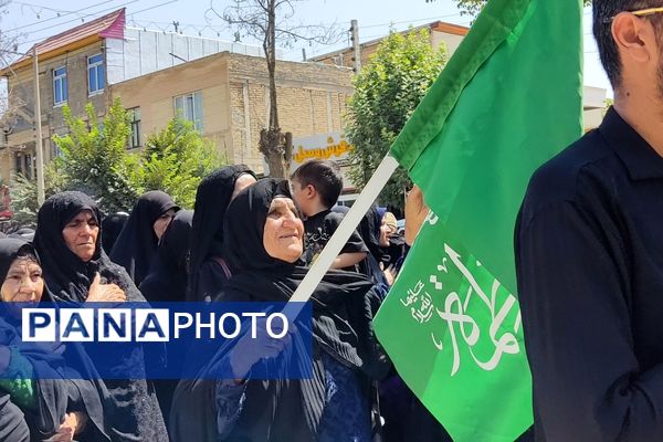 شکوه عزاداران رضوی در لردگان