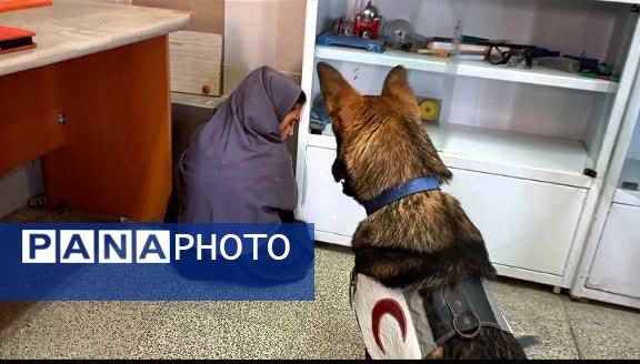 برگزاری مراسم متمرکز مانور زلزله و ایمنی مدارس در سرخنکلاته