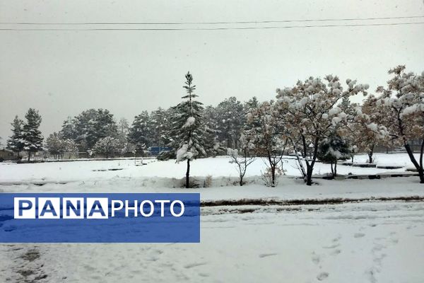 بارش برف در شهرستان تربت جام