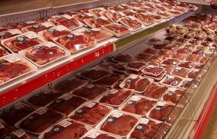 طرح تولید گوشت قراردادی؛ مسیری برای خودکفایی در تأمین گوشت قرمز