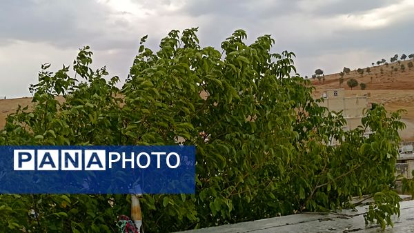 اولین بارش تابستانه در روستای کینک
