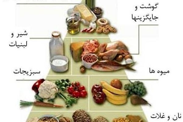 تغذیه‌ مناسب بر پیشرفت تحصیلی دانش‌آموزان تاثیر دارد