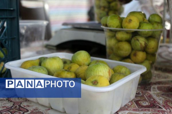 شُکرانه انجیر در گلوگاه 