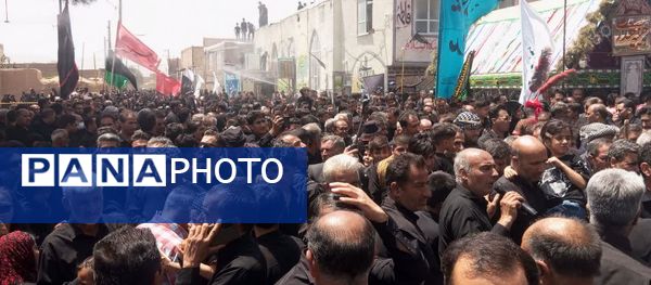 اجرای آیین کهن نخل‌گردانی و بیل‌زنی در روستای فدافن