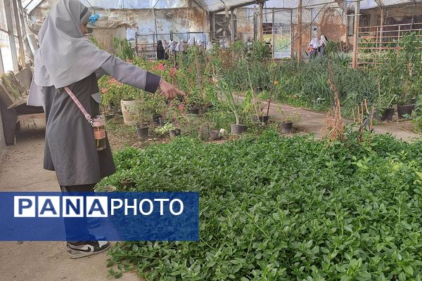 حضور دانش‌آموزان دبستان حاتم ناحیه دو شهرری در اردوی ری گردی
