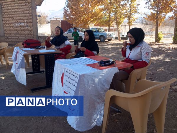 گرامیداشت ایام فاطمیه در گلزار شهدای ششبهره 