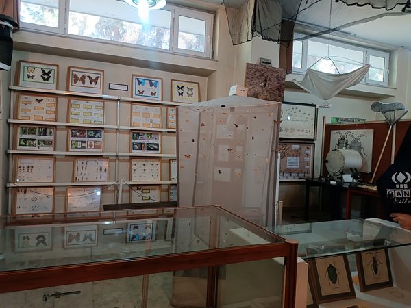 گام خبرنگاران در مسیر تنوع زیستی