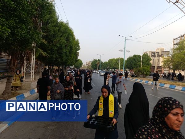 جاماندگان اربعین سفر به کربلا با دل و جان 