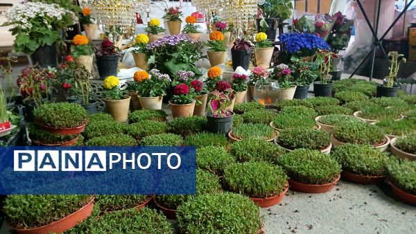 حال و هوای بهاری بازار بن در بهار قرآن