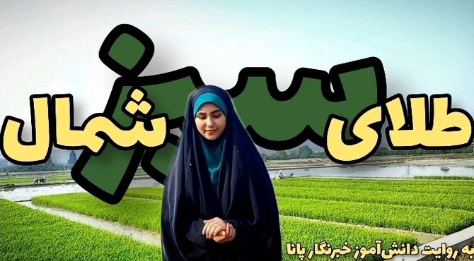 طلای سبز، روایتی که از دل خاک می‌آید