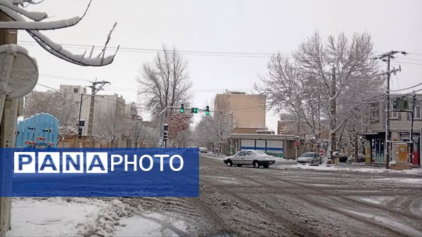 شازند سفیدپوش شد