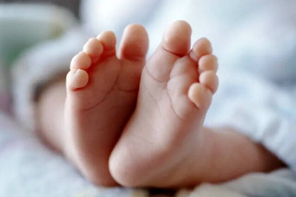 ثبت حدود ۹۸۰ هزار واقعه ولادت در سال ۱۴۰۳