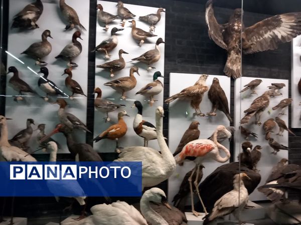 بازدید از پارک علمی تفریحی پروفسور بازیما مشهد