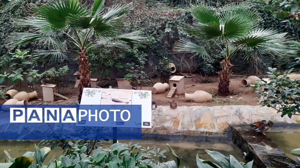 باغ پرندگان قم: جاذبه‌ای بی‌نظیر در قلب کشور