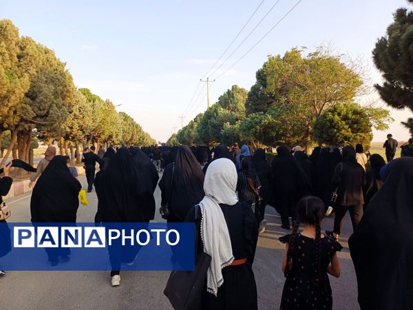دل به دل، قدم به قدم مسیر عشق اربعین