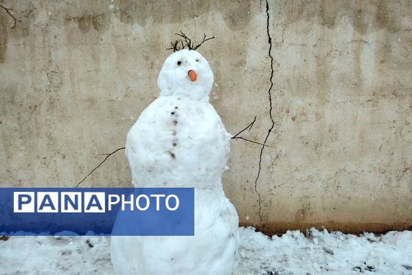 بارش برف در شهرستان تربت جام