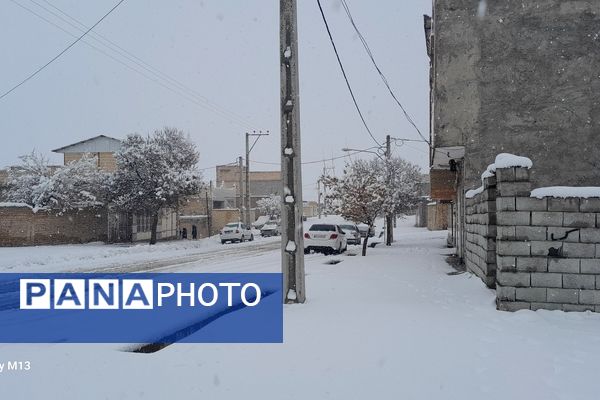 عروس فصل‌ها باری دیگر مهمان شهرستان بن