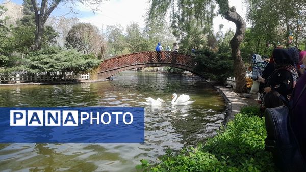 جلوه‌گری رنگ‌ها در دل بهار در یازدهمین جشنواره لاله‌ها در پارک چمران کرج