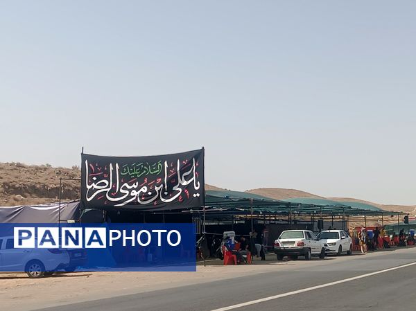 گام هایی از جنس عشق به امام رضا (ع)