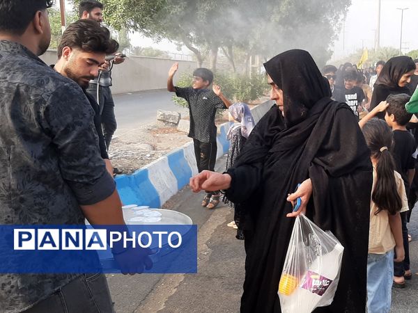 پیاده‌روی جاماندگان  اربعین حسینی شهرستان میناب