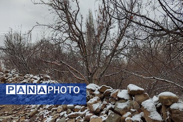 خودنمایی برف در شهر بار نیشابور
