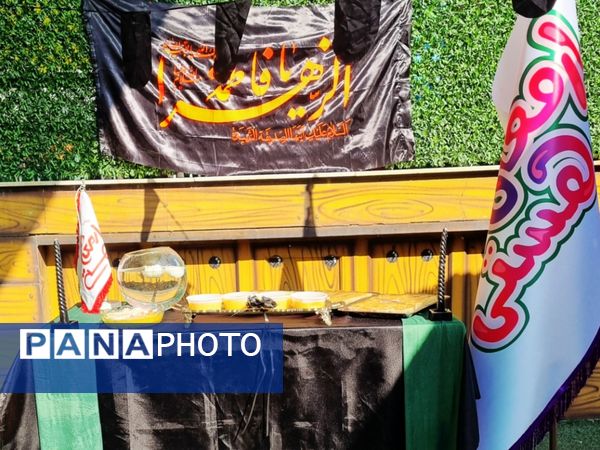 شور و عشق فاطمی در همه جا طنین انداز شد