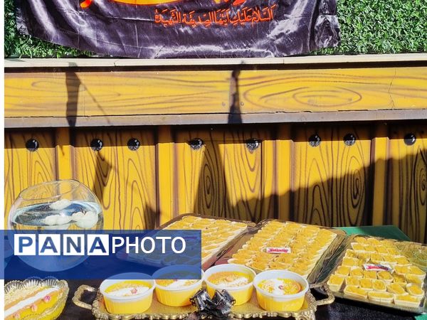 شور و عشق فاطمی در همه جا طنین انداز شد