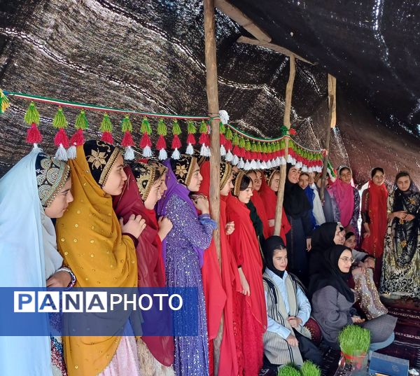 شگفتی‌های زیبایِ شکفتن و سبز شدن 