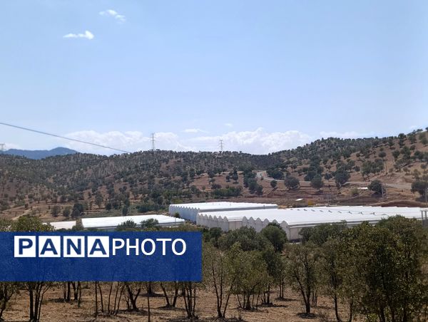 فاز دوم مجتمع گلخانه‌ای لردگان، آغاز فصل جدیدی در کشاورزی پایدار