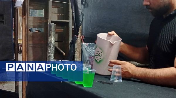 از کوچه تا خیابان، شهر بن غرق در عزای حسین بن علی(ع)