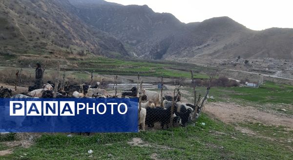 گذری بر روستای «بیدله» در لردگان