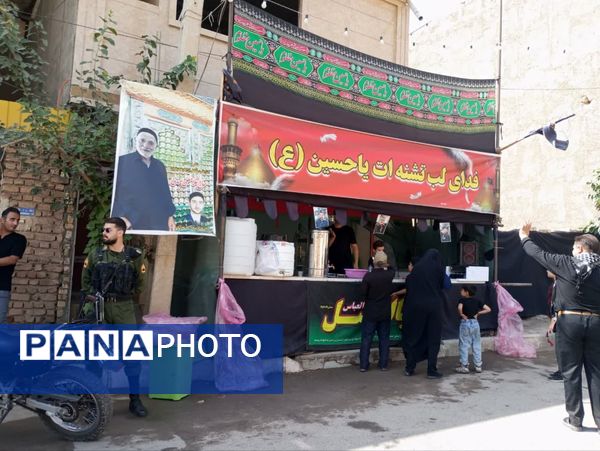 پیاده‌روی جاماندگان اربعین، راهیان کربلای ایران مشهداردهال