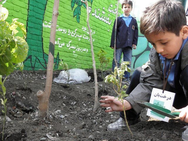 بهترین مکان برای انتقال و آموزش صحیح مطالب محیط‌زیستی مدرسه است