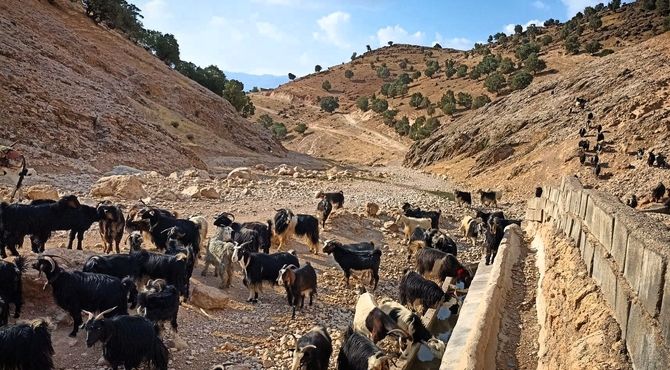 آبچنار کینک در معرض خشکسالی