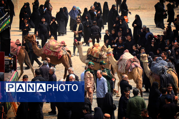 از کودک تا بزرگ پای مکتب حسین(ع)