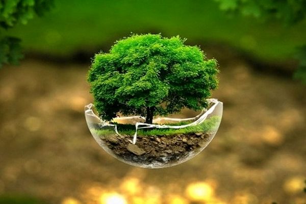 مدارس ساوجبلاغ پیشرو در آموزش محیط‌زیست هستند