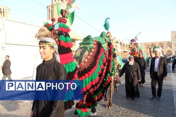 کاروان نمادین حضور امام رضا (ع) در یزد