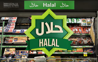 ضرورت برگزاری اکسپوی محصولات حلال