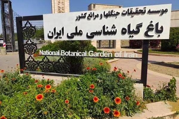 هشدار مدیر باغ گیاه‌شناسی ملی ایران درباره بحران آب: آینده باغ در خطر است
