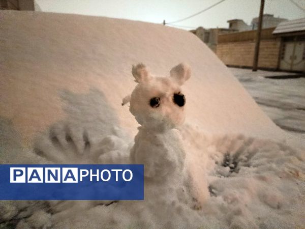 ورود باشکوه زمستان به نیشابور 