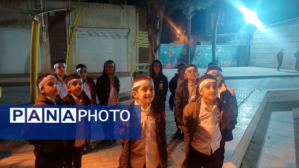 اجرای گروه های سرود در شهرستان کاشمر 