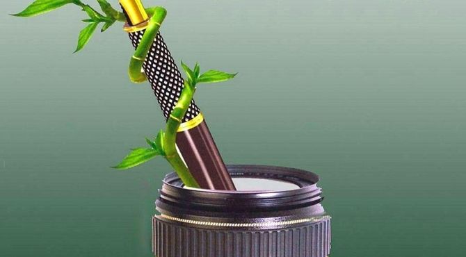 روز خبرنگار
