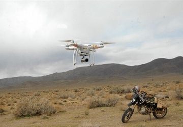 اجرای طرح سراسری سرشماری از گونه‌های شاخص حیات‌ وحش آغاز شد