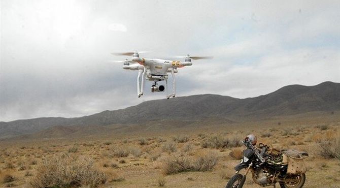 اجرای طرح سراسری سرشماری از گونه‌های شاخص حیات‌ وحش آغاز شد