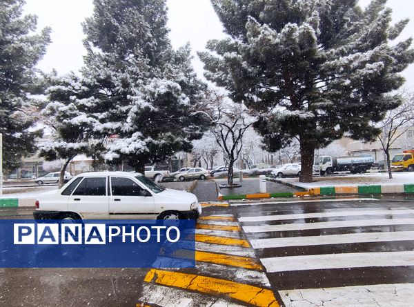 بارش برف و سفید پوش شدن شهر زیبای مشهد