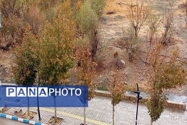 اولین باران پاییزی قابی شفاف از پاییز  رنگارنگ را در شهر زیبای بار رقم زد